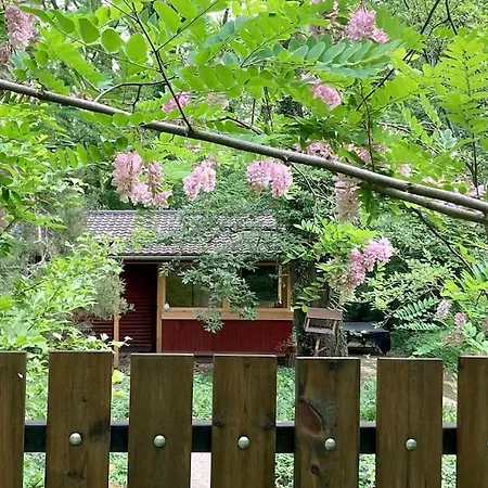 Cinke Cottage, Nest In Nature Kismaros Exterior photo