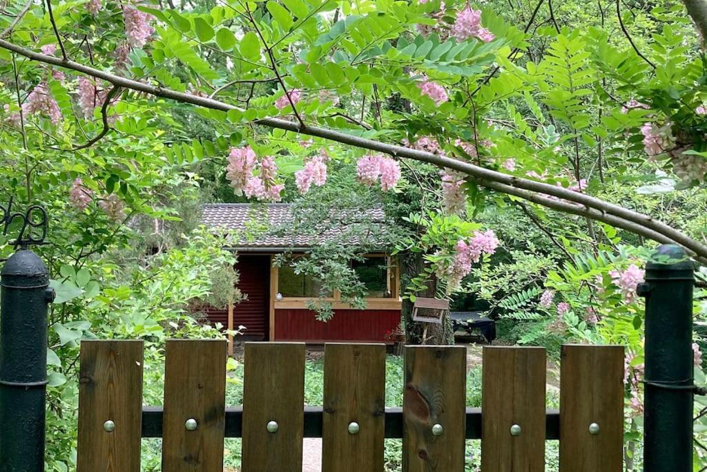 Apartment Cinke Cottage, Nest In Nature Kismaros