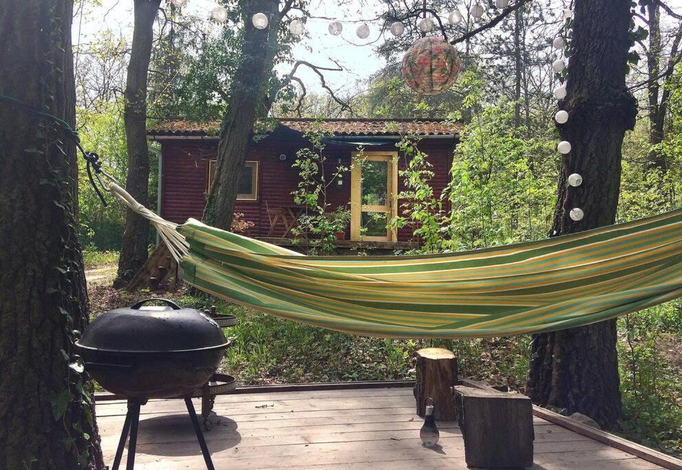 Cinke Cottage, Nest In Nature * Kismaros