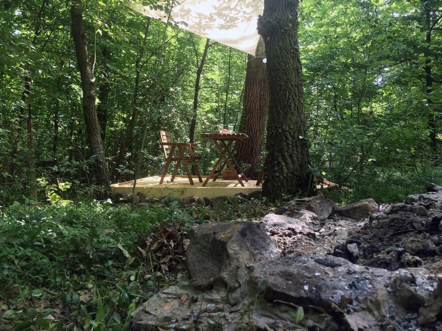 Apartment Cinke Cottage, Nest In Nature *